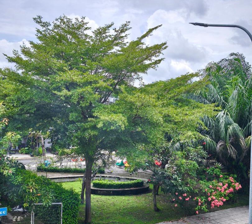 Photo of Others in Duc Hoa
