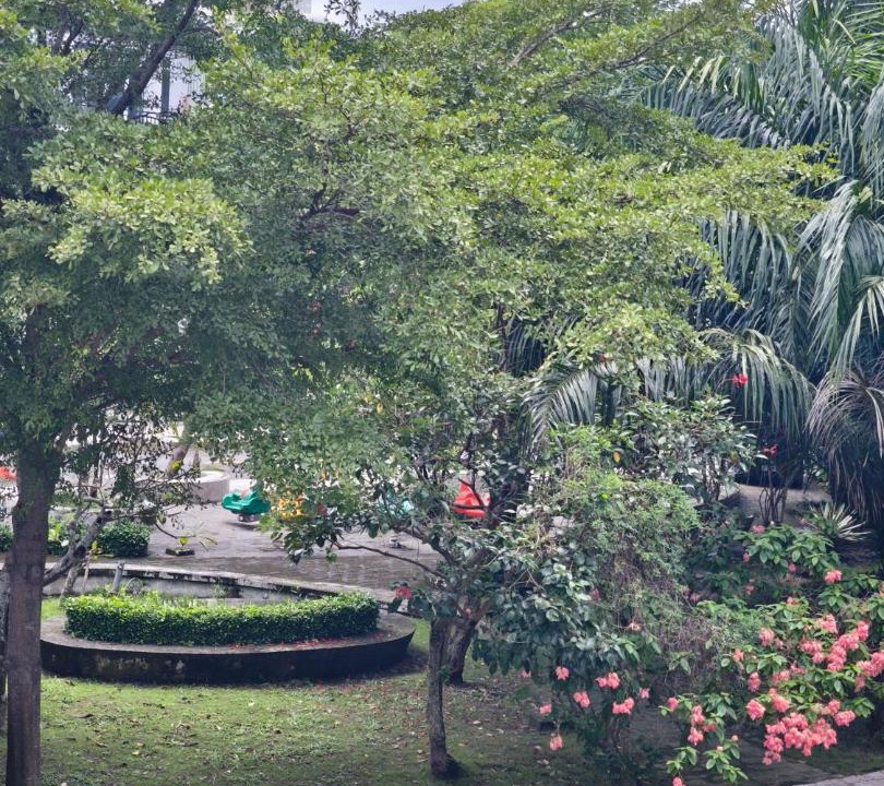 Photo of Others in Duc Hoa