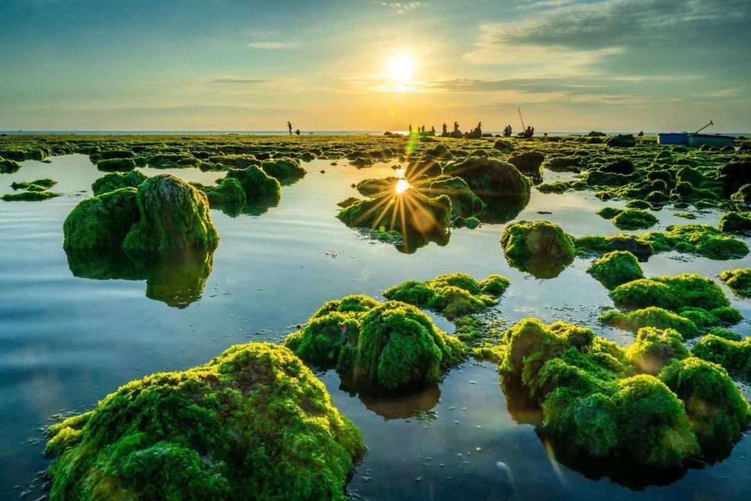 Photo of Others in Khanh Hai