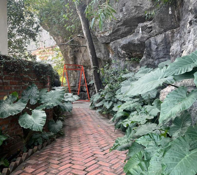 Photo of Others in Hoa Lu