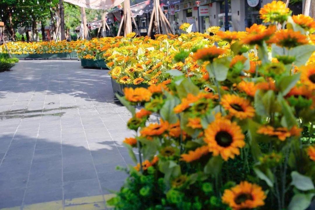 Photo of Others in Thanh Thuy