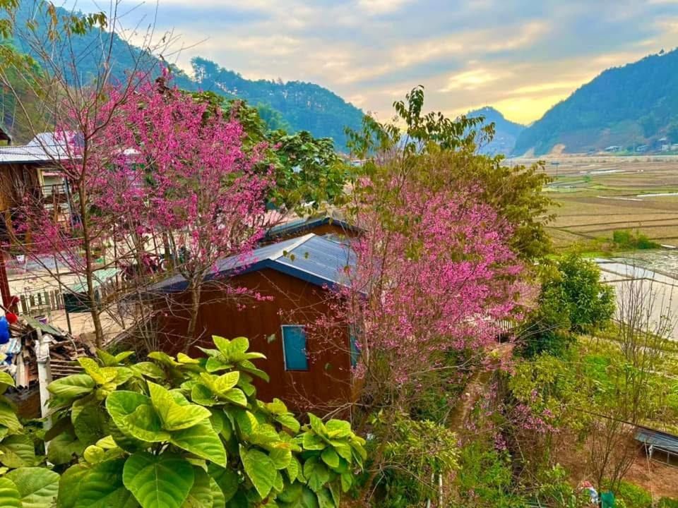 Photo of Others in Mu Cang Chai
