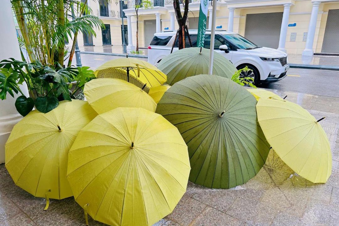Photo of Others in Hai Phong