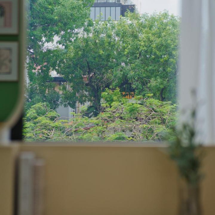 Photo of Others in Hang Trong
