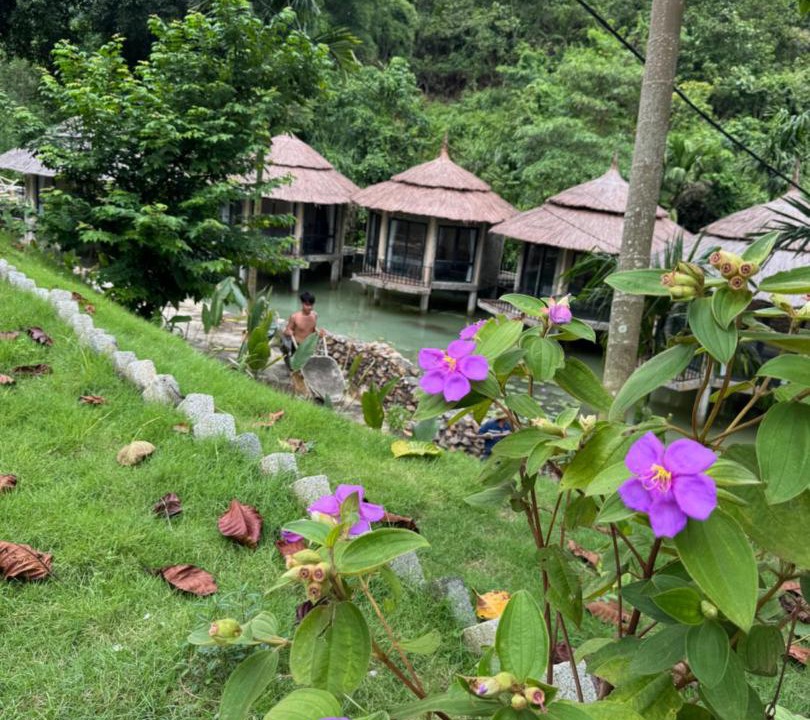 Photo of Outdoor in Thach Thanh
