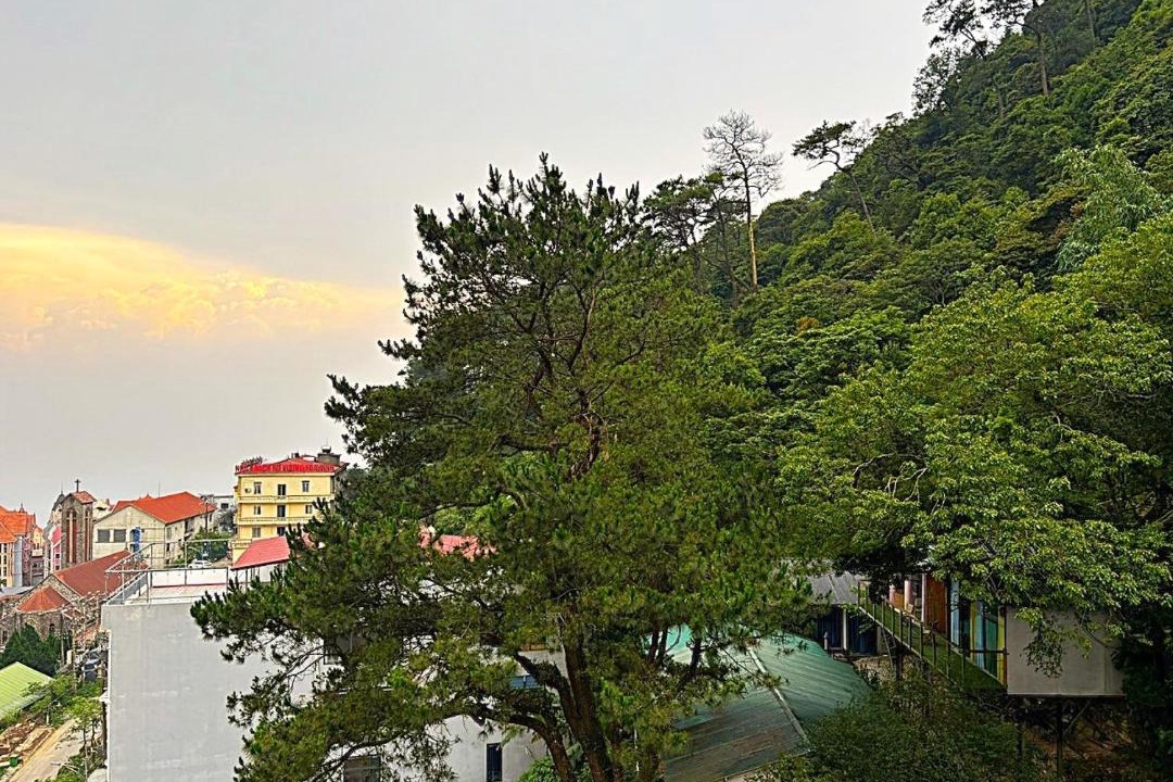 Photo of Others in Tam Dao