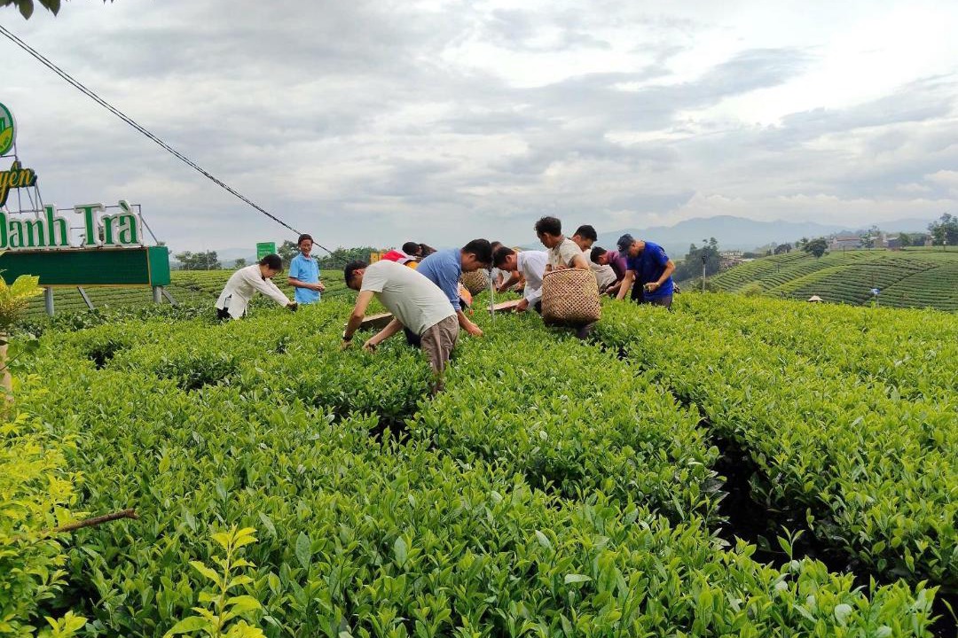 Photo of Others in Mang Yang