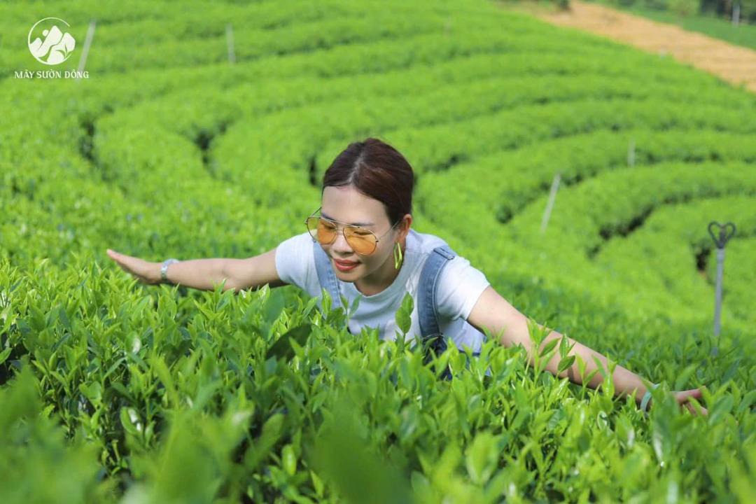 Photo of Others in Mang Yang