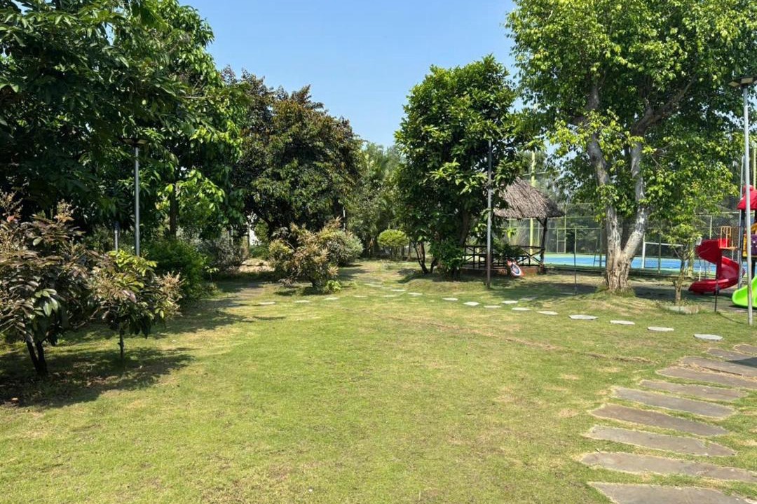 Photo of Outdoor in Ben Luc