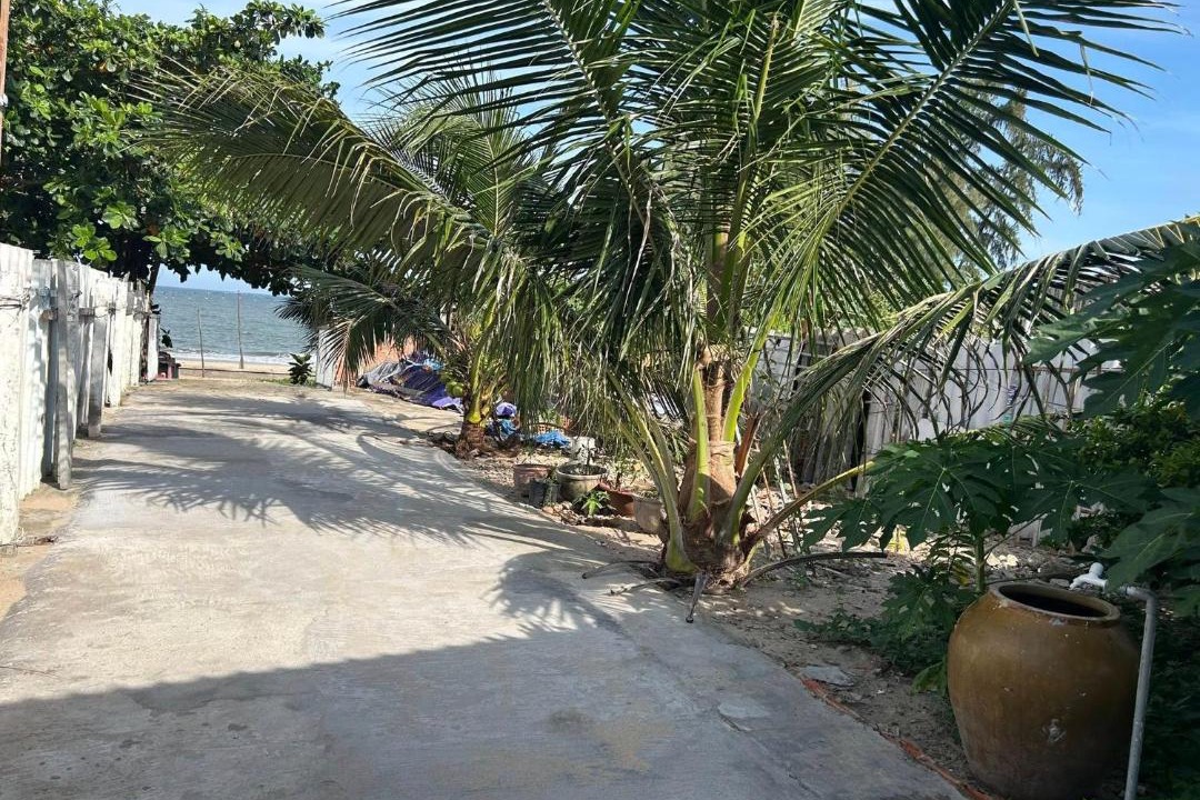 Photo of Others in Mang Yang