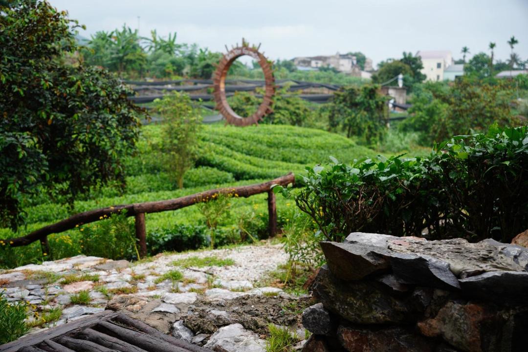 Photo of Others in Thai Nguyen
