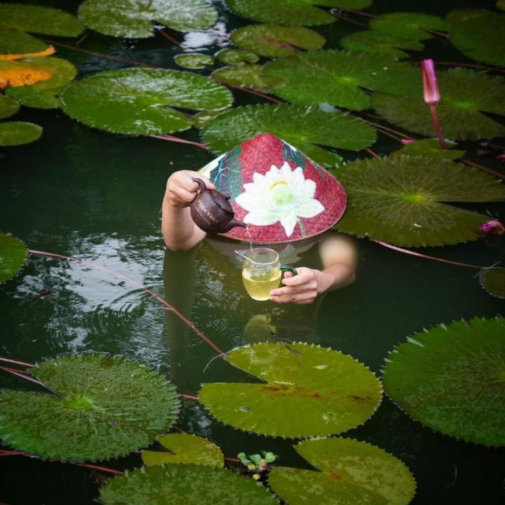 Photo of Others in Thai Nguyen