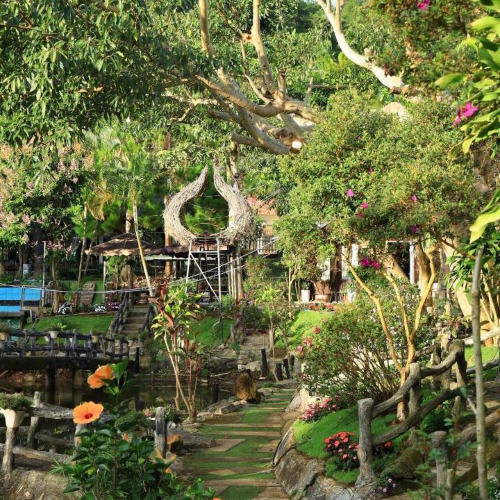Photo of Others in Duc Trong