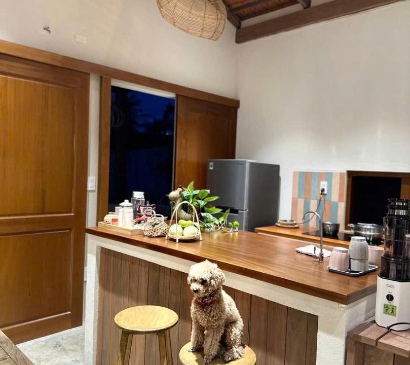 Photo of Kitchen in Phu My