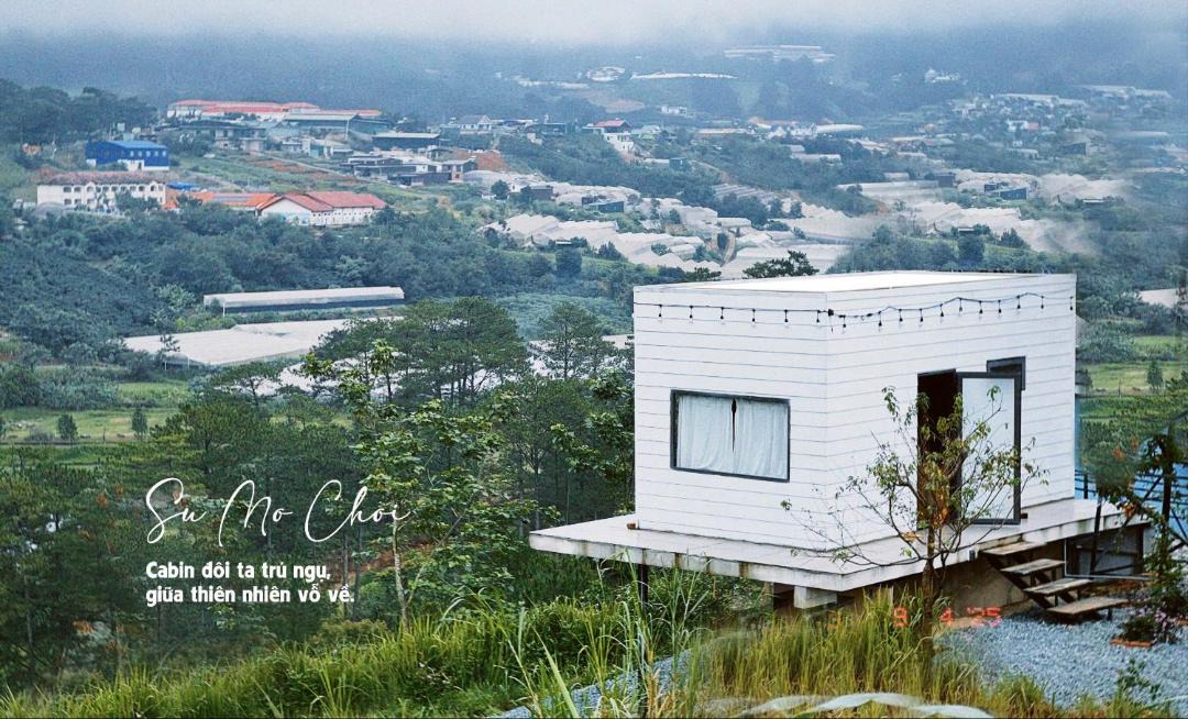 Photo of Others in Lac Duong