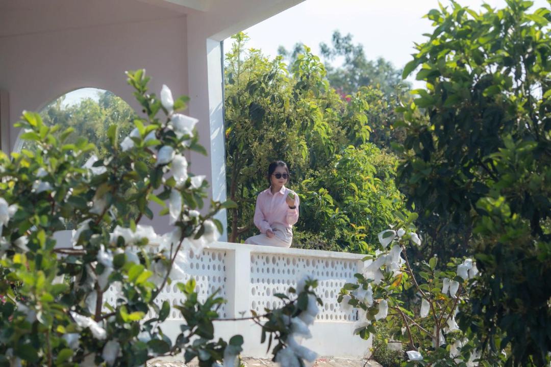Photo of Others in Don Duong