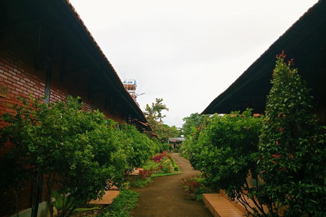 Photo of Others in Quan Tom
