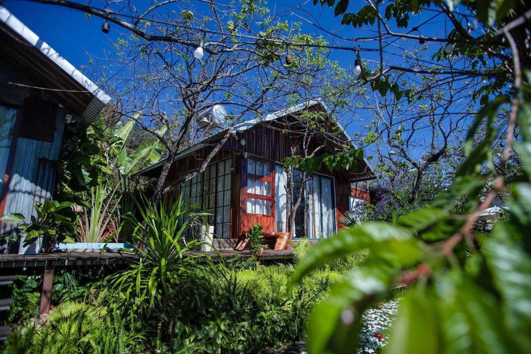 Photo of Others in Da Lat