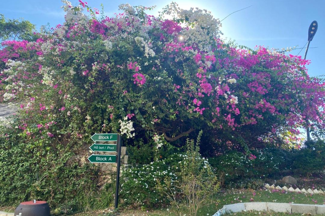 Photo of Outdoor in Phu Hai Beach