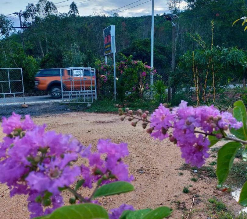 Photo of Others in Van Ninh