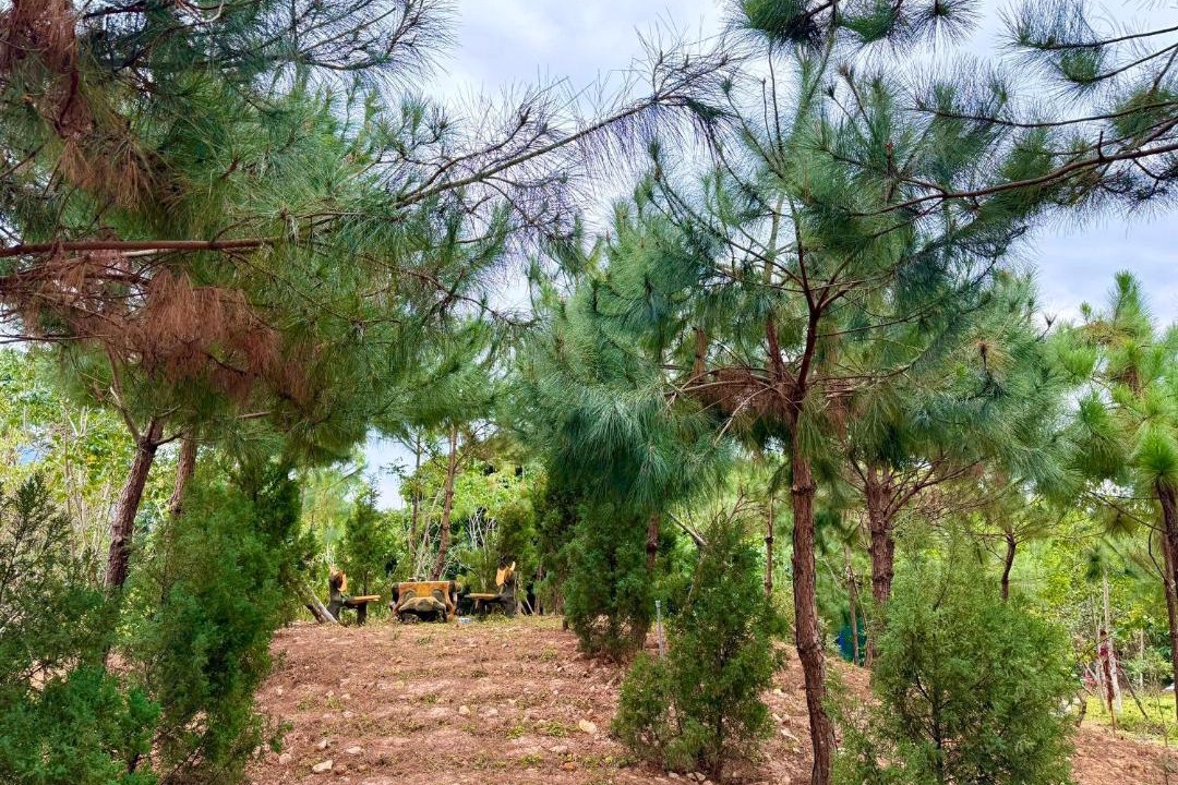 Photo of Outdoor in Soc Son