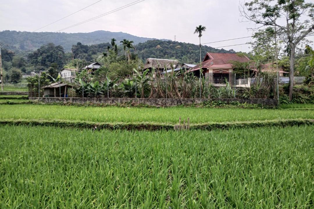Photo of Others in Ha Giang