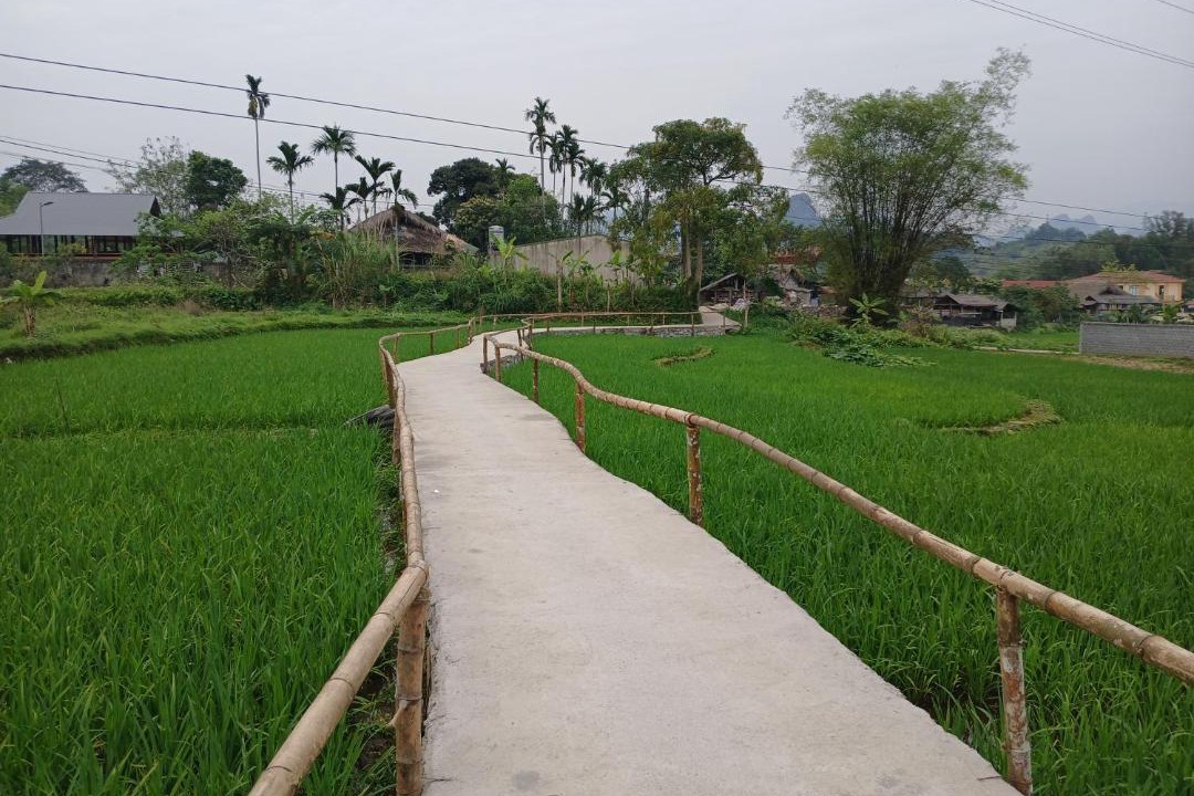 Photo of Others in Ha Giang