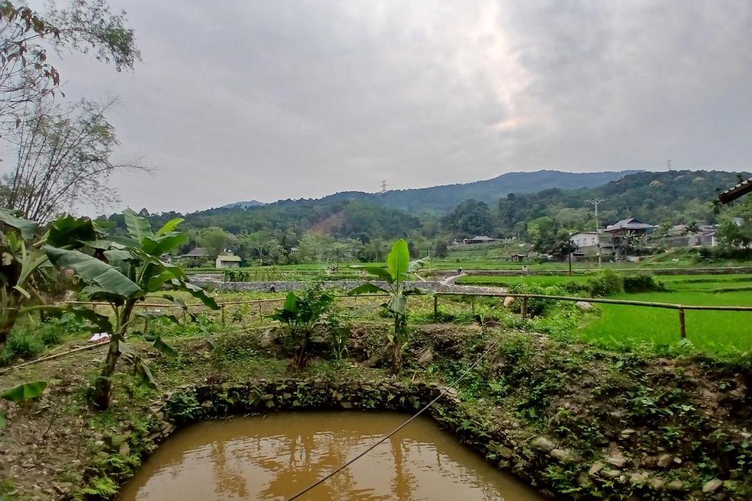 Photo of Others in Ha Giang
