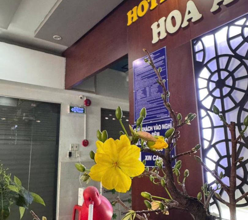 Photo of Others in Thu Duc