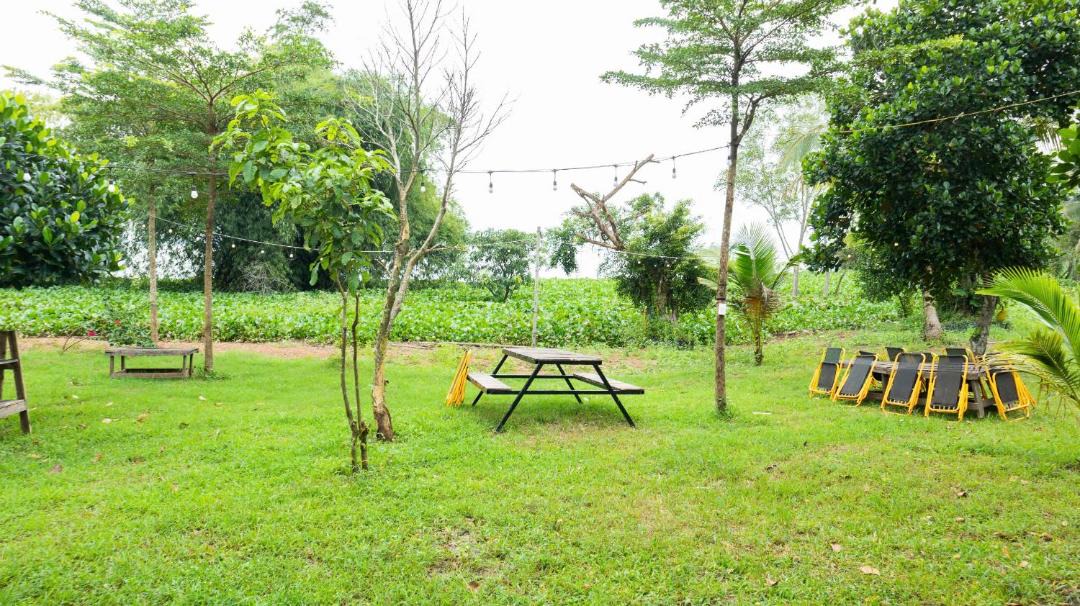 Photo of Outdoor in Vinh Cuu