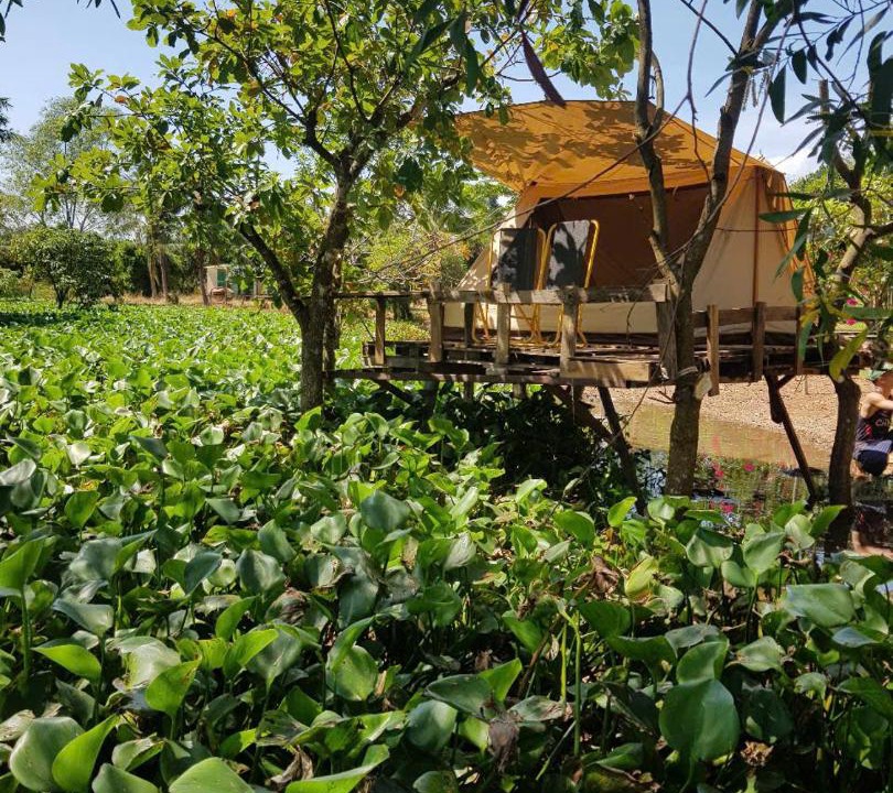 Photo of Others in Vinh Cuu