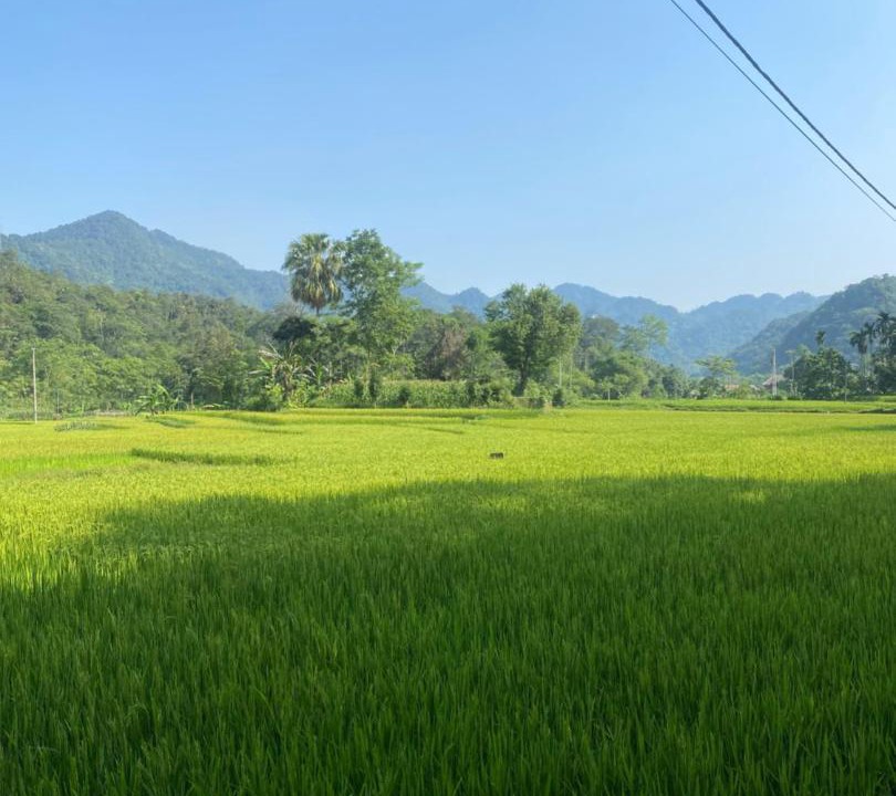 Photo of Others in Ha Giang