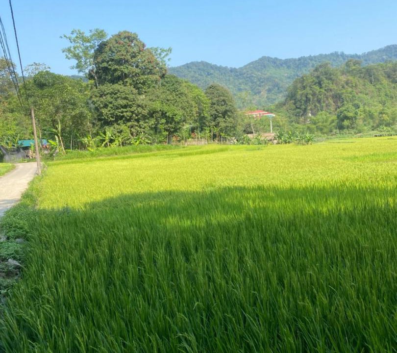 Photo of Others in Ha Giang