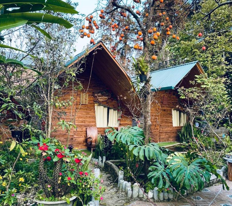 Photo of Others in Bac Ha