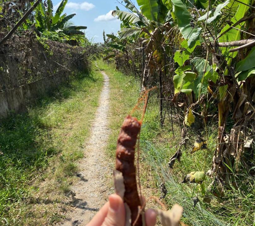 Photo of Outdoor in Cai Rang