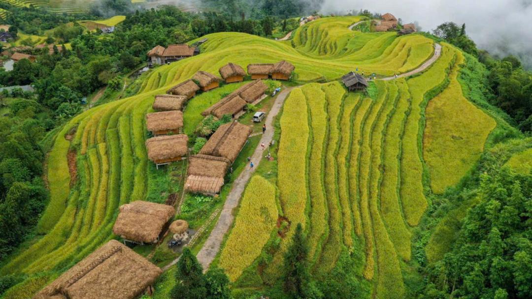 Photo of Others in Thong Nguyen