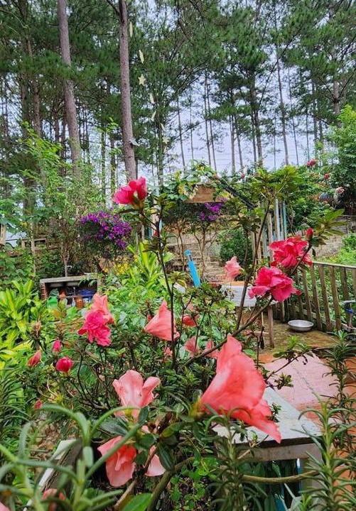 Photo of Outdoor in Da Lat