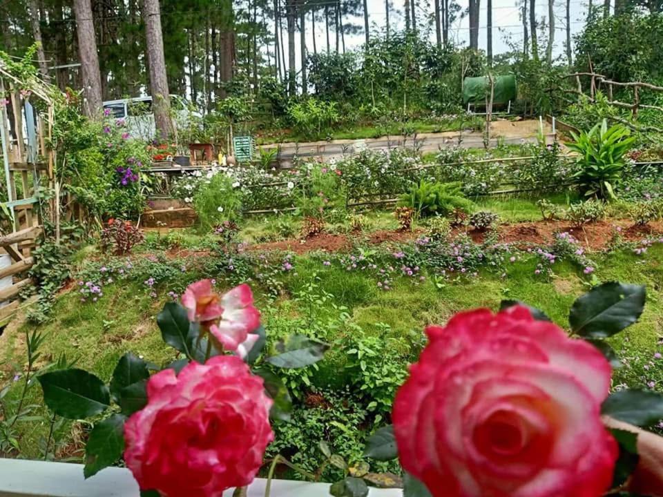 Photo of Others in Da Lat