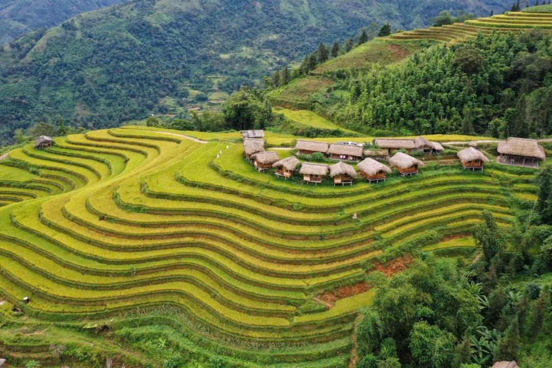 Photo of Others in Thong Nguyen