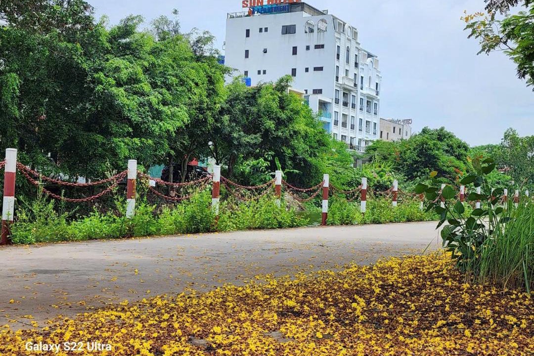 Photo of Others in Thuan Thanh