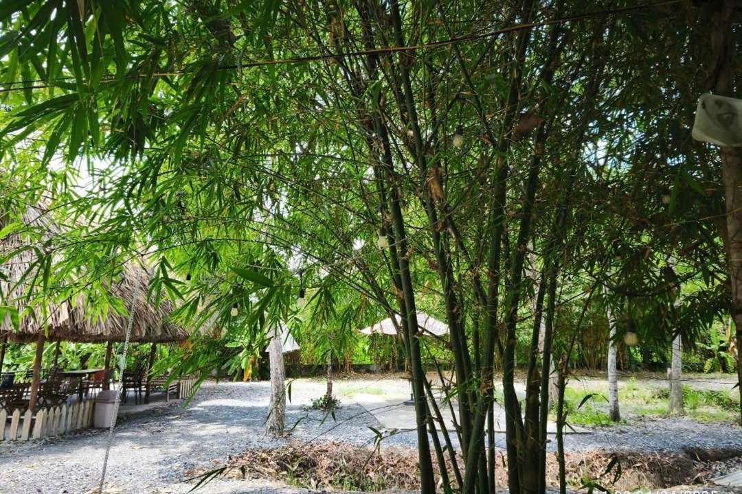 Photo of Others in Mang Yang