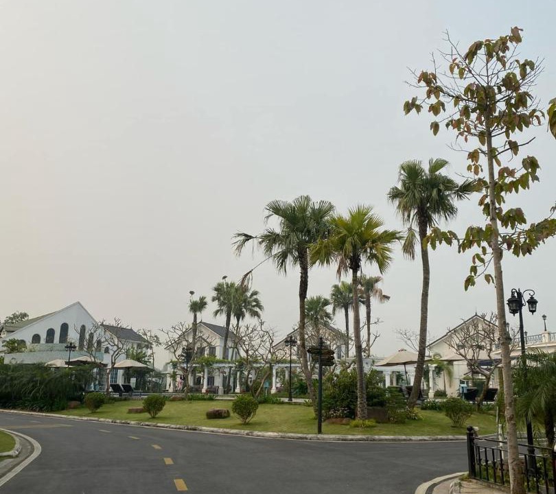 Photo of Others in Thanh Thuy