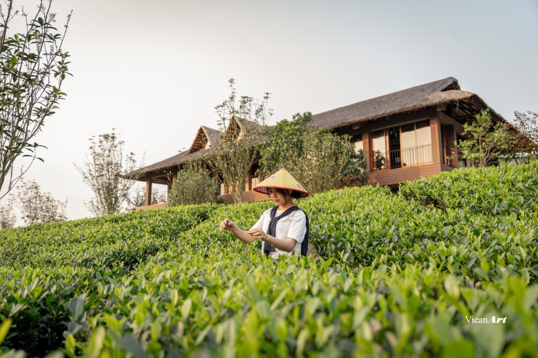 Photo of Others in Thai Nguyen