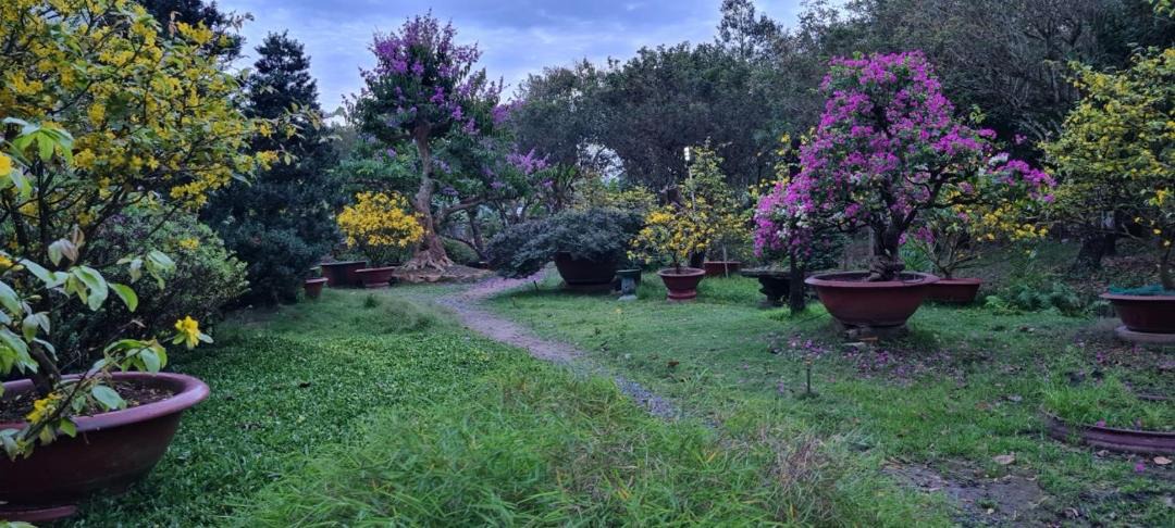 Photo of Outdoor in Binh Thuy