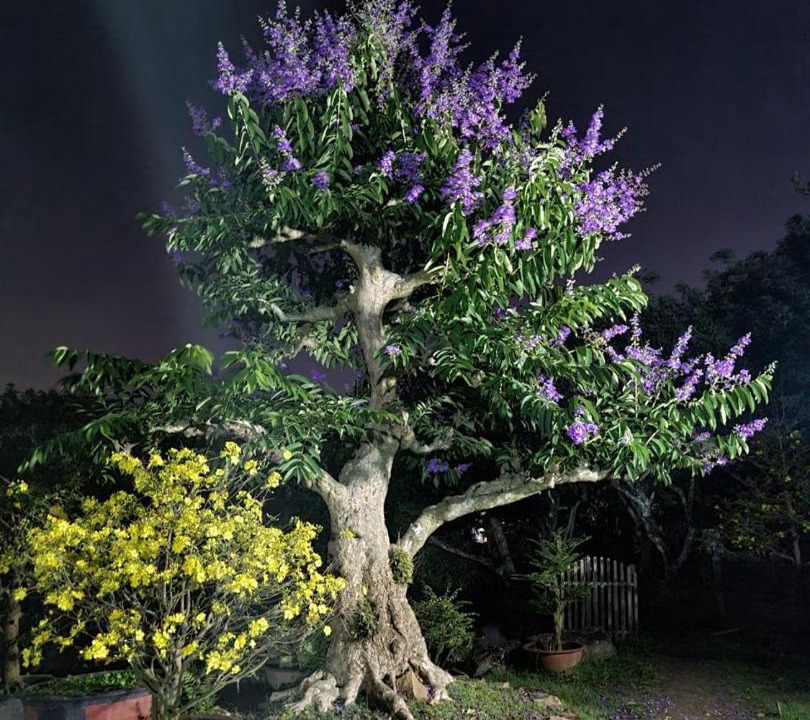 Photo of Outdoor in Binh Thuy
