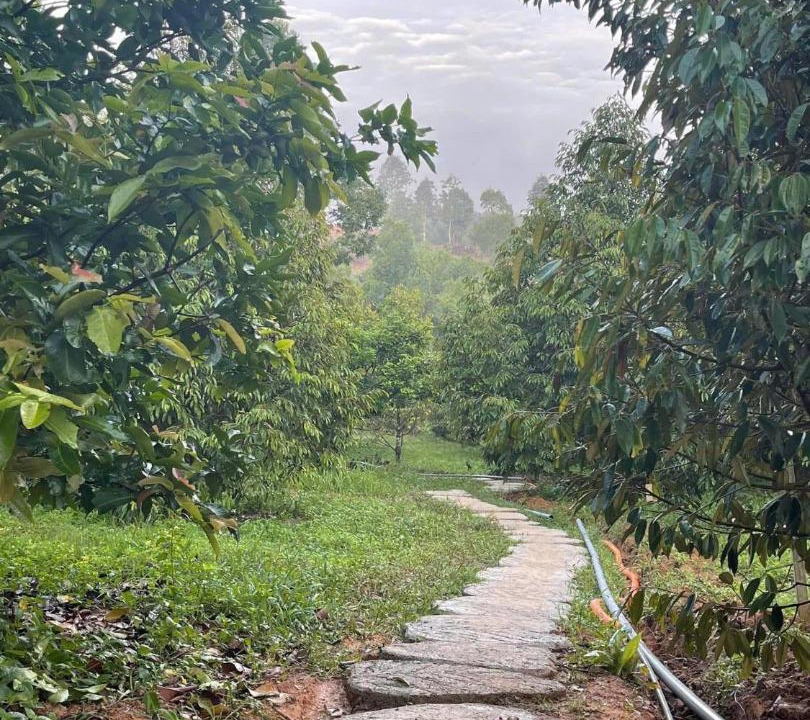 Photo of Outdoor in Da Huoai