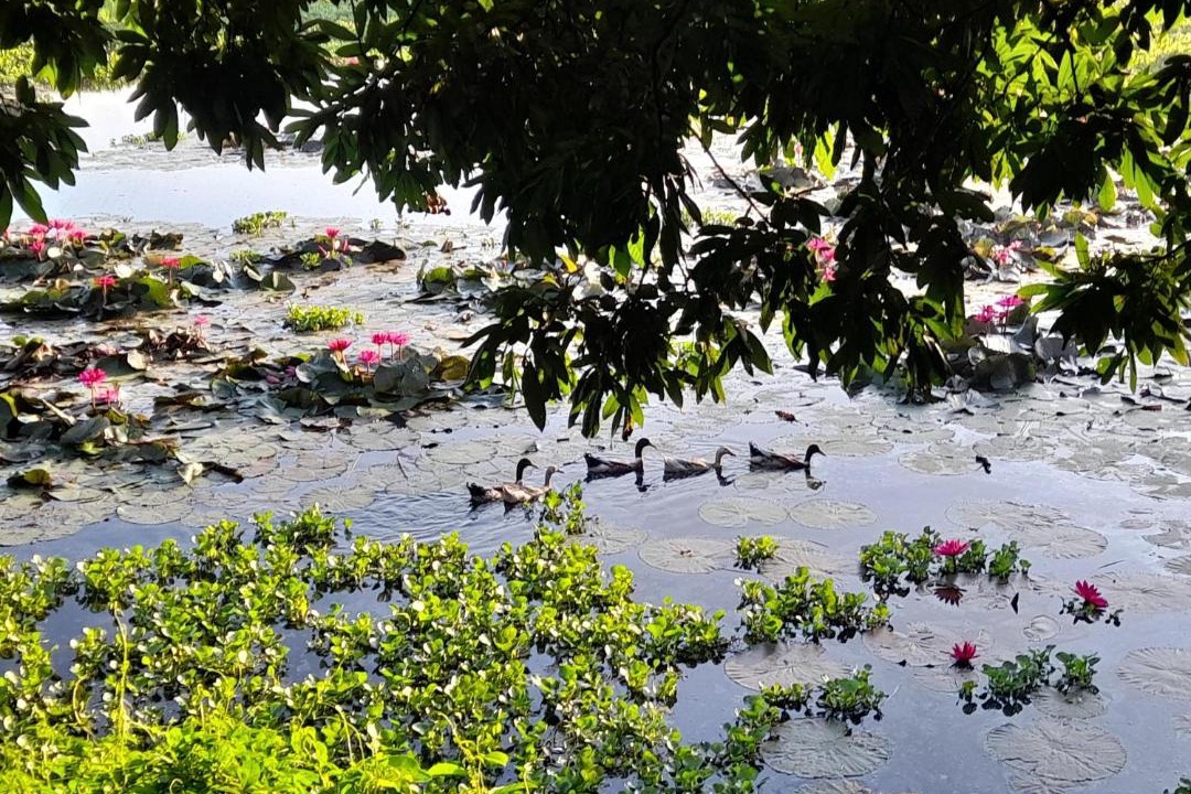Photo of Others in Cu Chi
