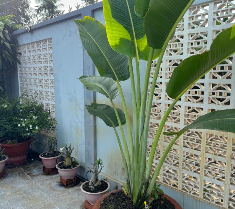 Photo of Outdoor in Chau Thanh