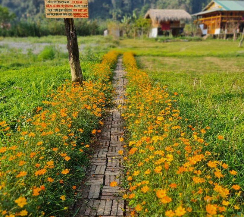 Photo of Others in Nam Mau