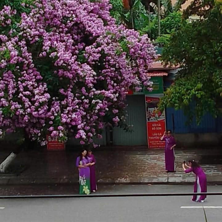 Photo of Others in Quan Do Son